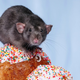 Image for article titled Man Celebrates 96th Birthday by Accidentally Eating Rat Cake